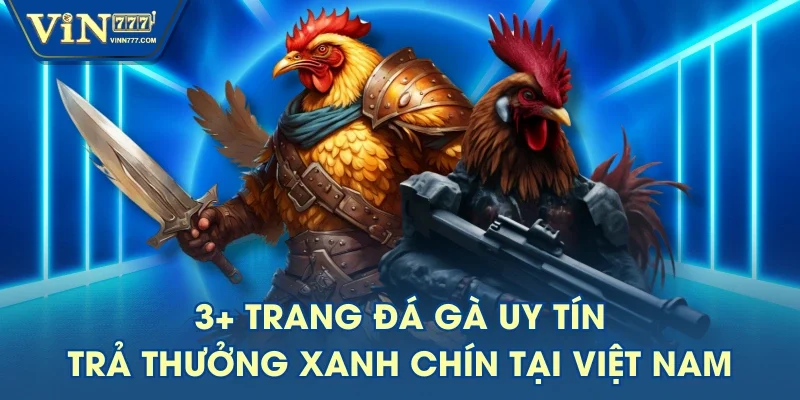3+ Trang Đá Gà Uy Tín, Trả Thưởng Xanh Chín Tại Việt Nam