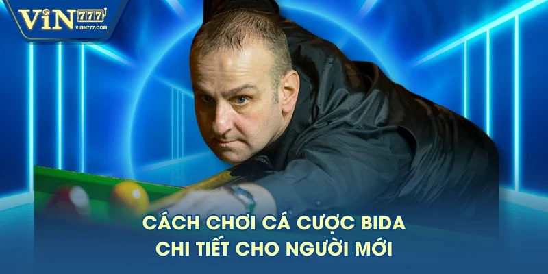 Cách chơi cá cược Bida chi tiết cho người mới