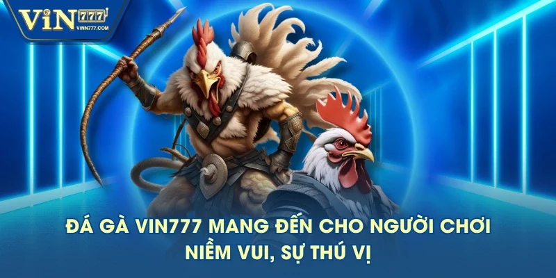 Đá gà VIN777 mang đến cho người chơi niềm vui, sự thú vị
