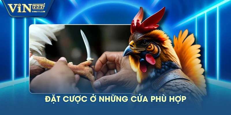 Đặt cược ở những cửa phù hợp Đặt cược ở những cửa phù hợp