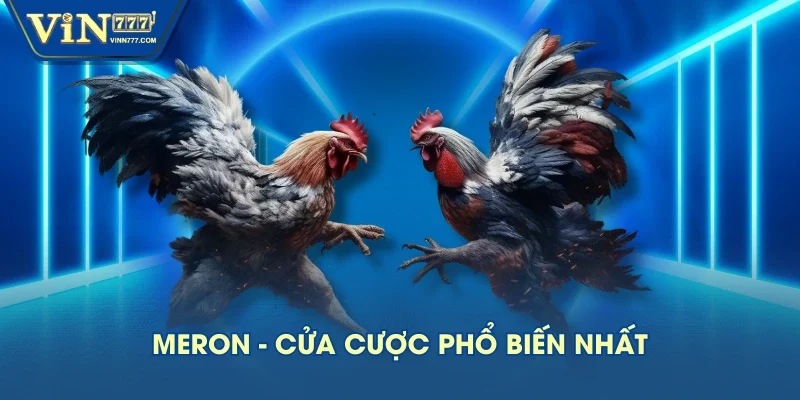 Meron - Cửa cược phổ biến nhất