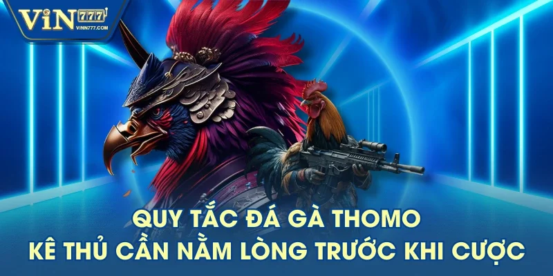 Quy Tắc Đá Gà Thomo Kê Thủ Cần Nằm Lòng Trước Khi Cược