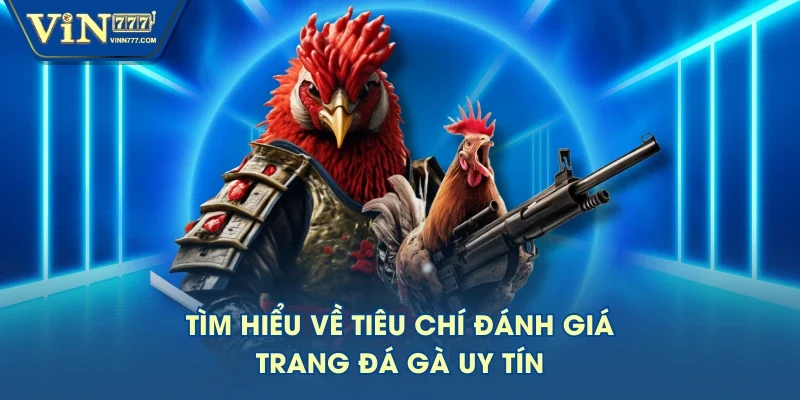 Tìm hiểu về tiêu chí đánh giá trang đá gà uy tín