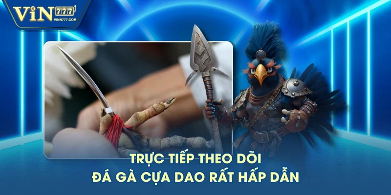 Trực tiếp theo dõi đá gà cựa dao rất hấp dẫn Trực tiếp theo dõi đá gà cựa dao rất hấp dẫn